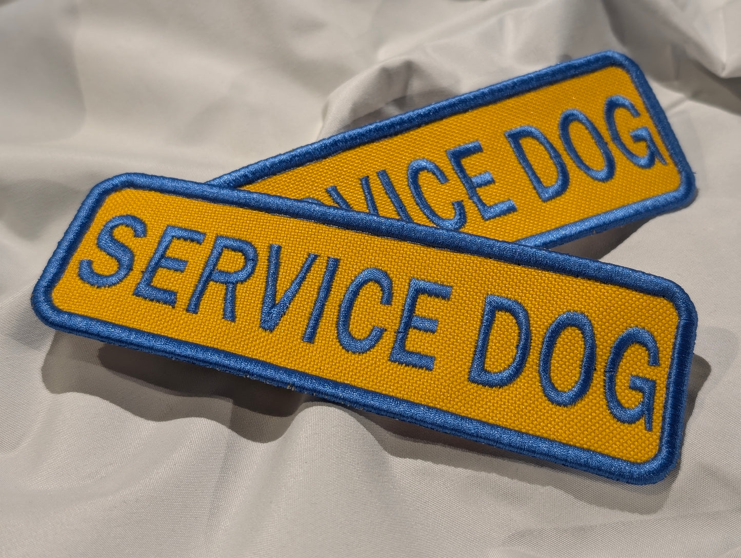 Service Dog Blue and Yellow